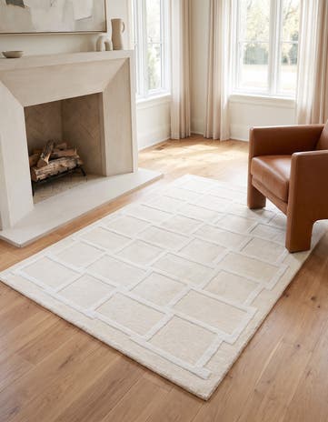 4' x 6' 2 Darya Rug