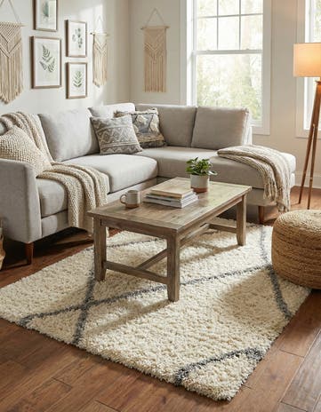 5' x 8' Infinity Shag Rug