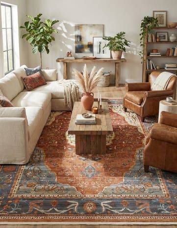 10' x 13' Havana Rug