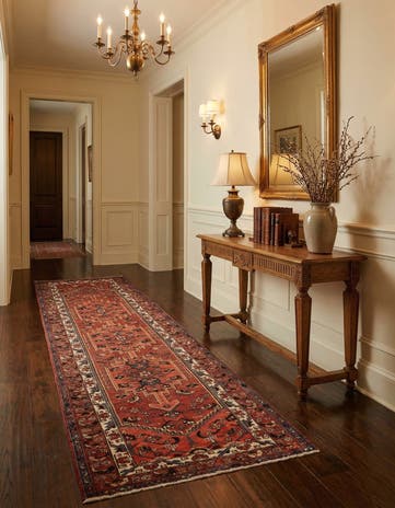 3' 3 x 10' 4 Hamedan Runner Rug