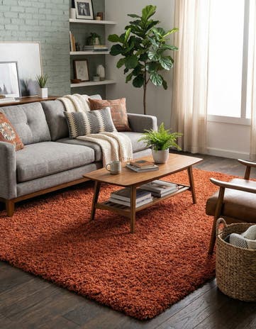 6' x 9' Solid Shag Rug