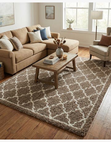 9' x 12' Infinity Shag Rug