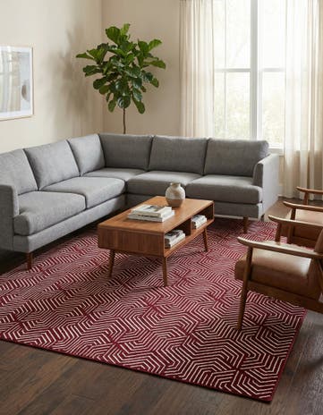Burgundy Red Aakaar Rug