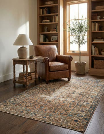 3' 3 x 6' 11 Hamedan Rug