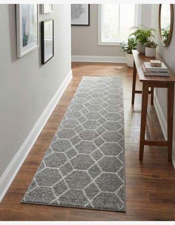 2' x 13' Trellis Frieze Runner Rug