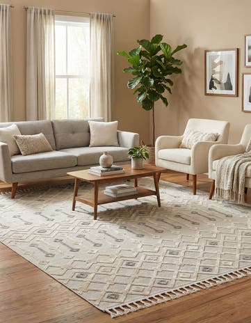 7' 10 x 11' Arlo Rug