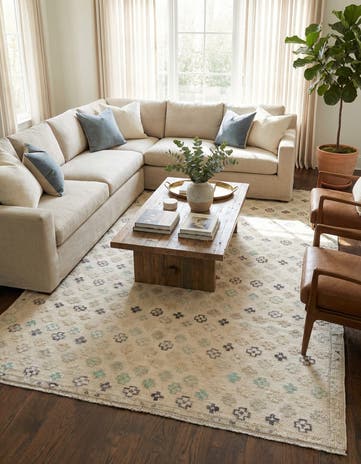 6' 3 x 9' 4 Hand Knotted Darya Wool Rug