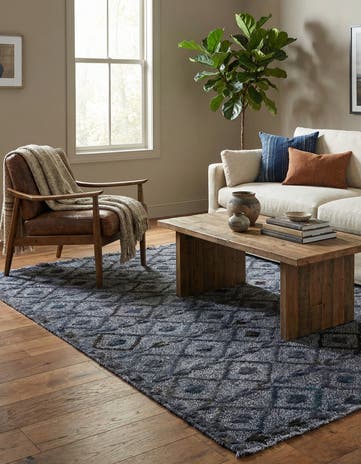 4' x 6' Hand Knotted Darya Wool Rug