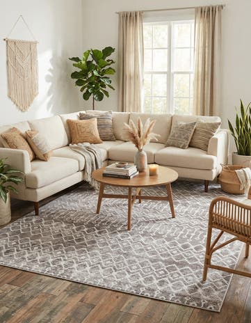 9' x 12' Bohemian Trellis Rug