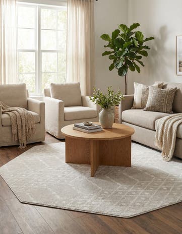 7' 10 x 7' 10 Paxon Trellis Octagon Rug