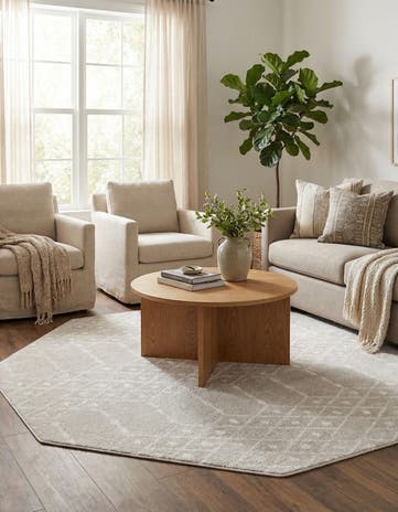 7' 10 x 7' 10 Paxon Trellis Octagon Rug