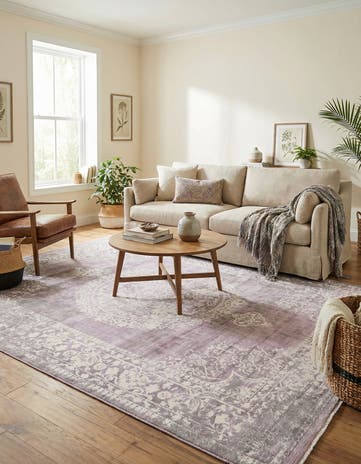 10' x 13' Modern Classical Rug