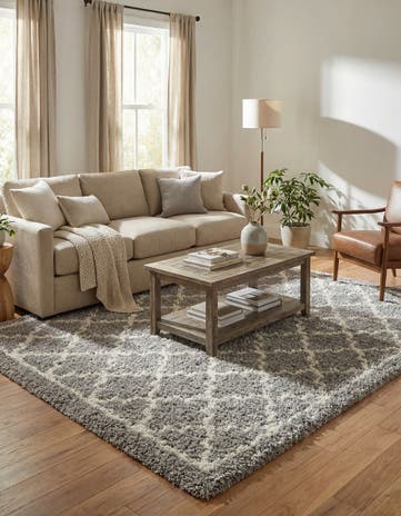 Ash Gray Infinity Shag Rug