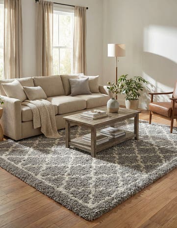 Ash Gray Infinity Shag Rug