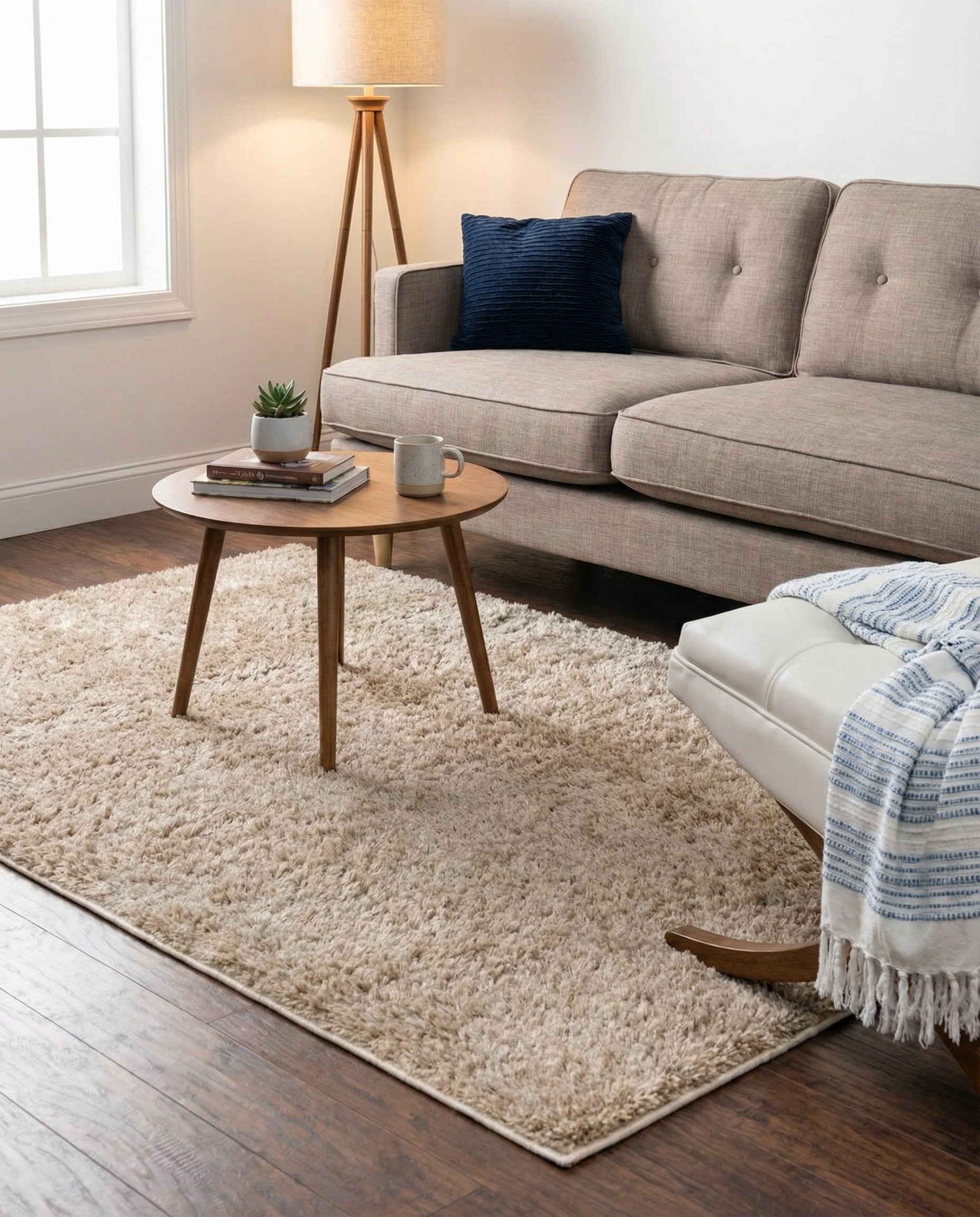  2' 2 x 3' Everyday Shag Rug