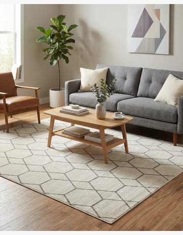 8' x 10' Trellis Frieze Rug