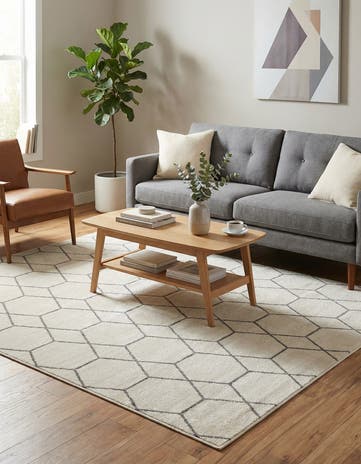 8' x 10' Lattice Frieze Rug