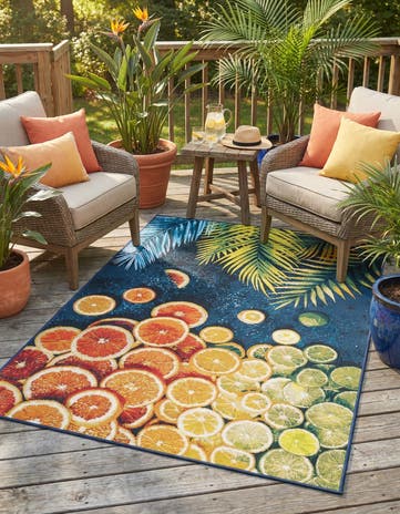 4' x 6' Easy-Clean Coastal Indoor / Outdoor Rug
