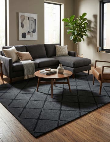 5' x 7' 10 Luna Rug