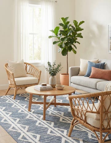 6' 7 x 9' Sabrina Soto Casa Palma Rug
