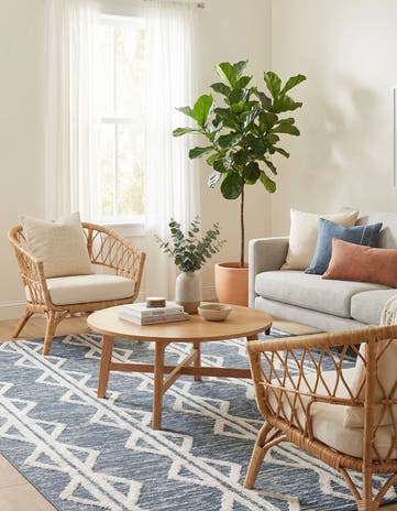 6' 7 x 9' Sabrina Soto Casa Palma Rug