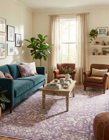 7' x 10' Modern Classical Rug