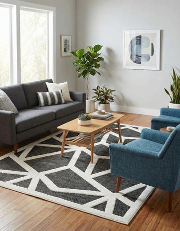 6' x 9' Prismatic Rug