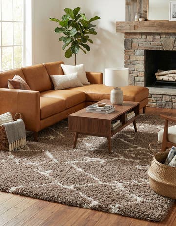 9' x 12' Infinity Shag Rug