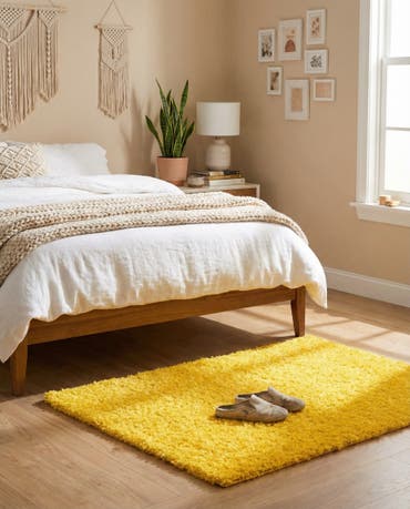  2' x 3' Solid Shag Rug