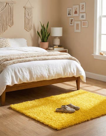 2' x 3' Solid Shag Rug