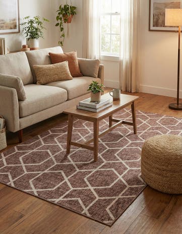 5' 3 x 8' Eco Trellis Rug
