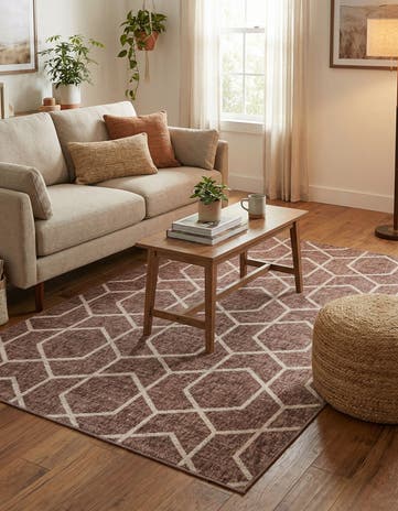 5' 3 x 8' Eco Trellis Rug