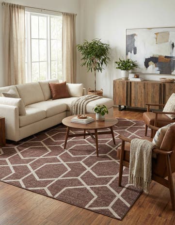10' x 13' Eco Trellis Rug