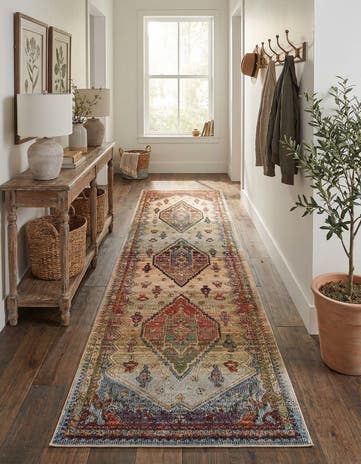 2' 7 x 10' Isabella Runner Rug