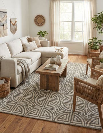 Gray and Ivory Hand Woven Chenille Jute Rug