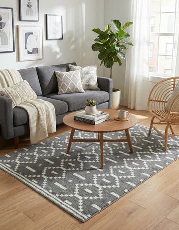 4' x 6' Oslo Rug