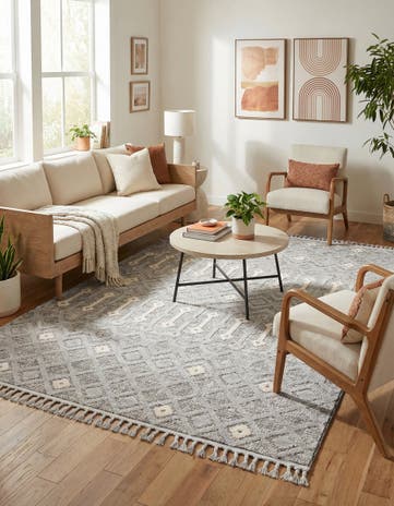 6' x 9' Arlo Rug