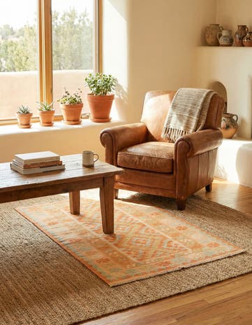 2' 8 x 4' 5 Hand Woven Kilim Waziri Wool Rug