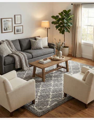 Ash Gray Infinity Shag Rug