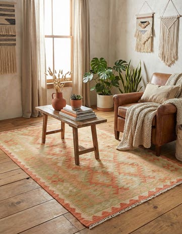 3' 3 x 4' 10 Hand Woven Kilim Waziri Wool Rug