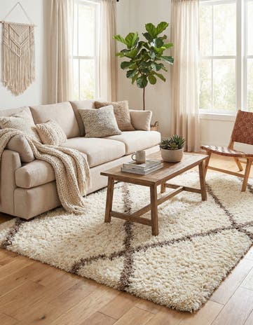 4' x 6' Infinity Shag Rug