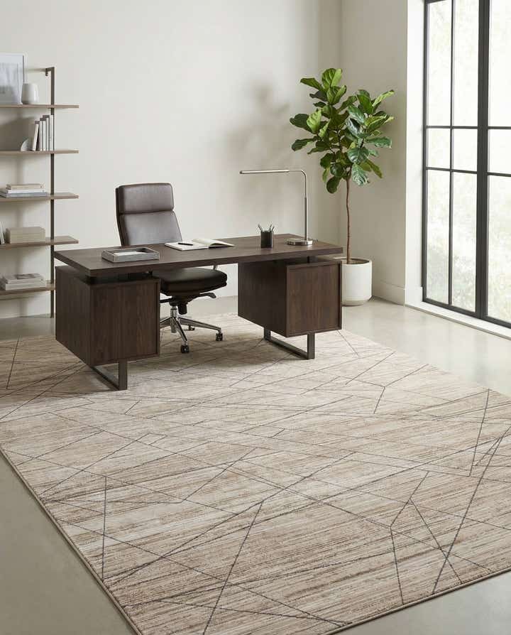 9' x 12' Silta Rug