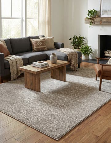 6' x 9' Sepia Rug