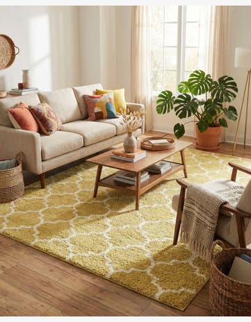 8' x 10' Marrakesh Shag Rug