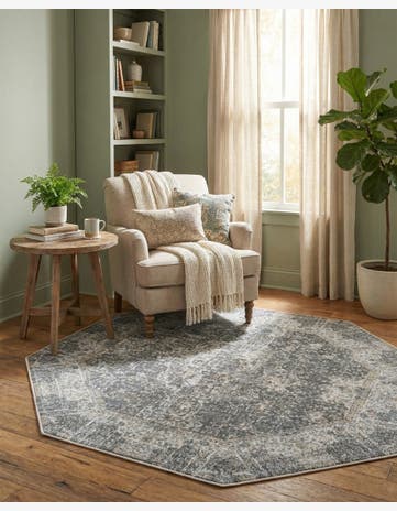 4' 3 x 4' 3 Santiago Octagon Rug