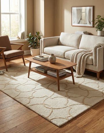 4' x 6' Luna Rug
