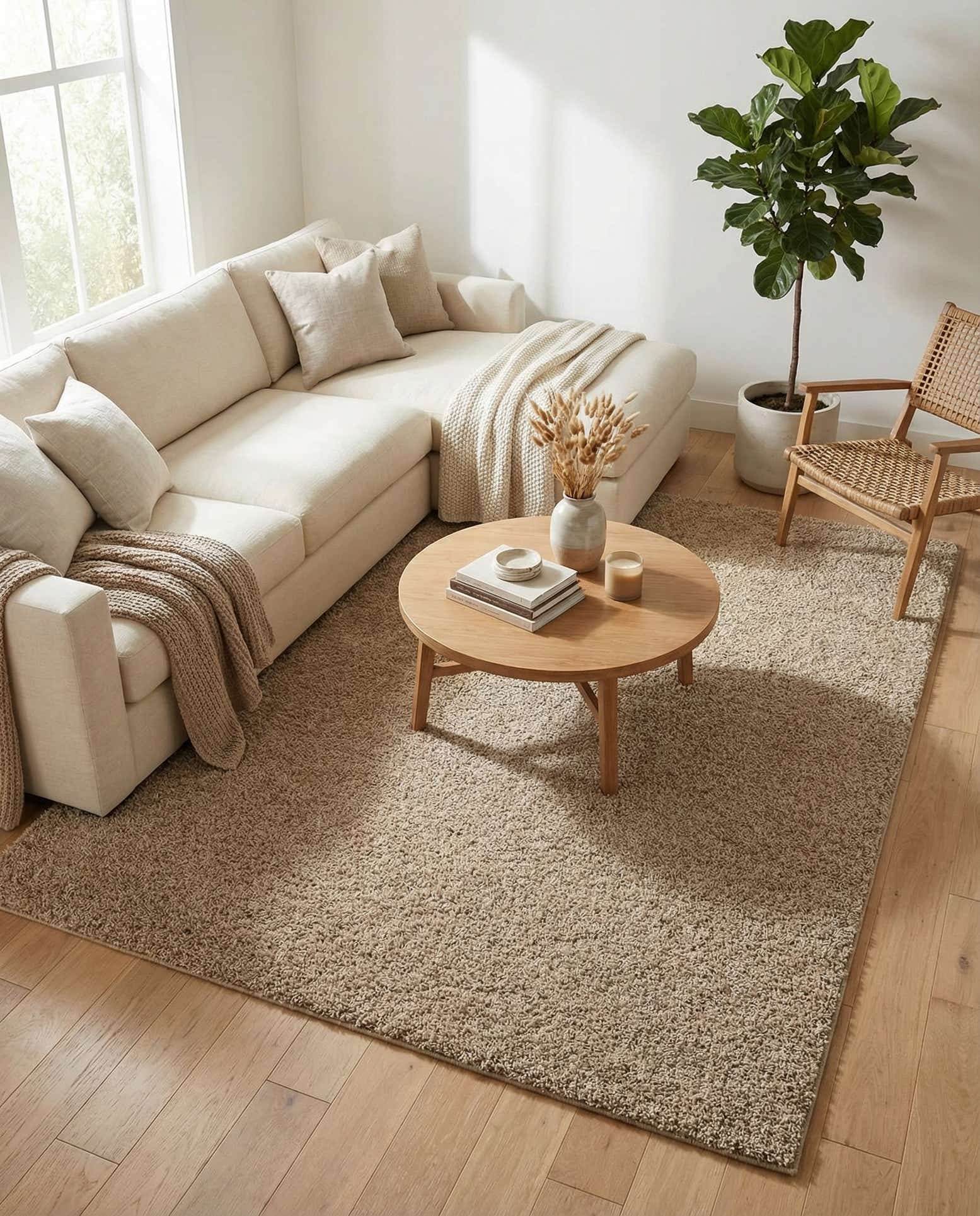 9' x 12' Soft Solid Shag Rug