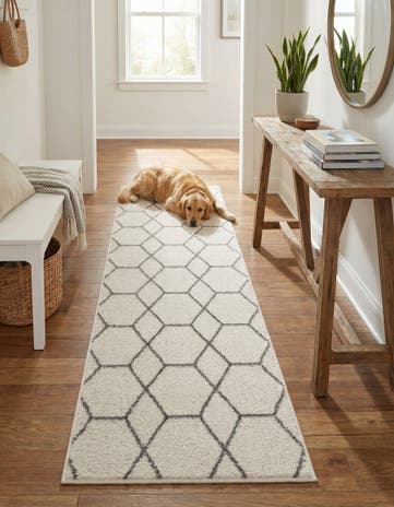 2' x 6' Lattice Frieze Runner Rug