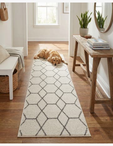 2' x 6' Trellis Frieze Runner Rug