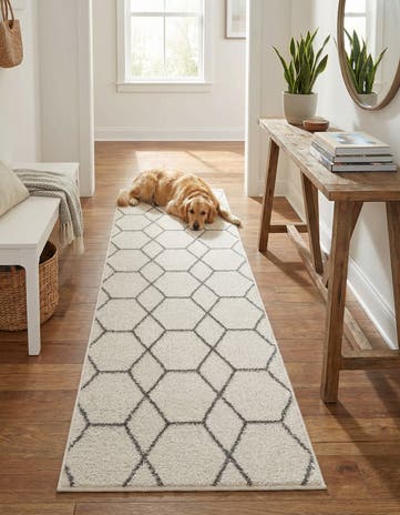 2' x 6' Lattice Frieze Runner Rug